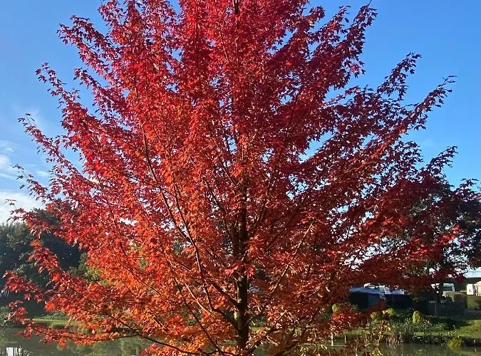 Mobil Кемпинг Voyennes